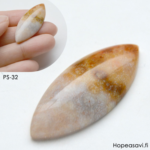 Fossiili koralli, pyrhiottu kapussi, markiisi, noin 37x15x5.8mm, kuvassa #PS-32, tasainen tausta, vain 1 kpl