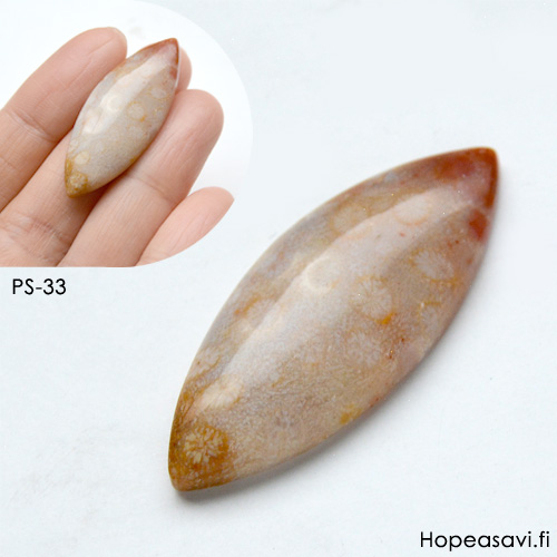 Fossiili koralli, pyrhiottu kapussi, markiisi, noin 38x15x5.4mm, kuvassa #PS-33, tasainen tausta, vain 1 kpl