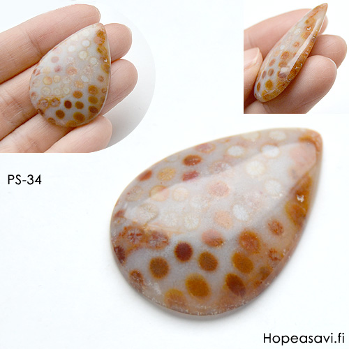 Fossiili koralli, pyrhiottu kapussi, pisara, noin 37x27x5.9mm, kuvassa #PS-34, tasainen tausta, vain 1 kpl