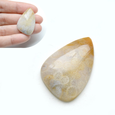 Fossiili koralli, pyrhiottu kapussi, epsymmetrinen, mitat noin 32.2x21.1x6.1mm, kuvassa #PS-102, tasainen tausta, kuvio molemmilla puolilla, uniikki kivi