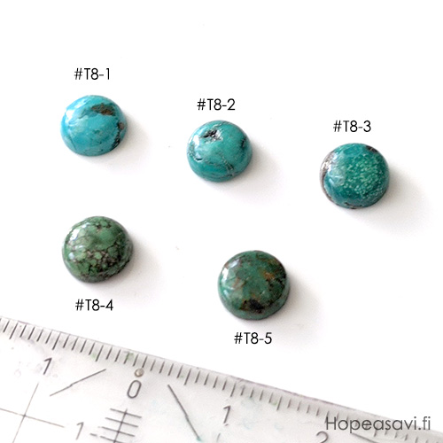 Turkoosi, *Uniikki kivi* kuvassa T8-1, pyrhiottu kapussi, v/t, ympyr, 8mm, 1kpl